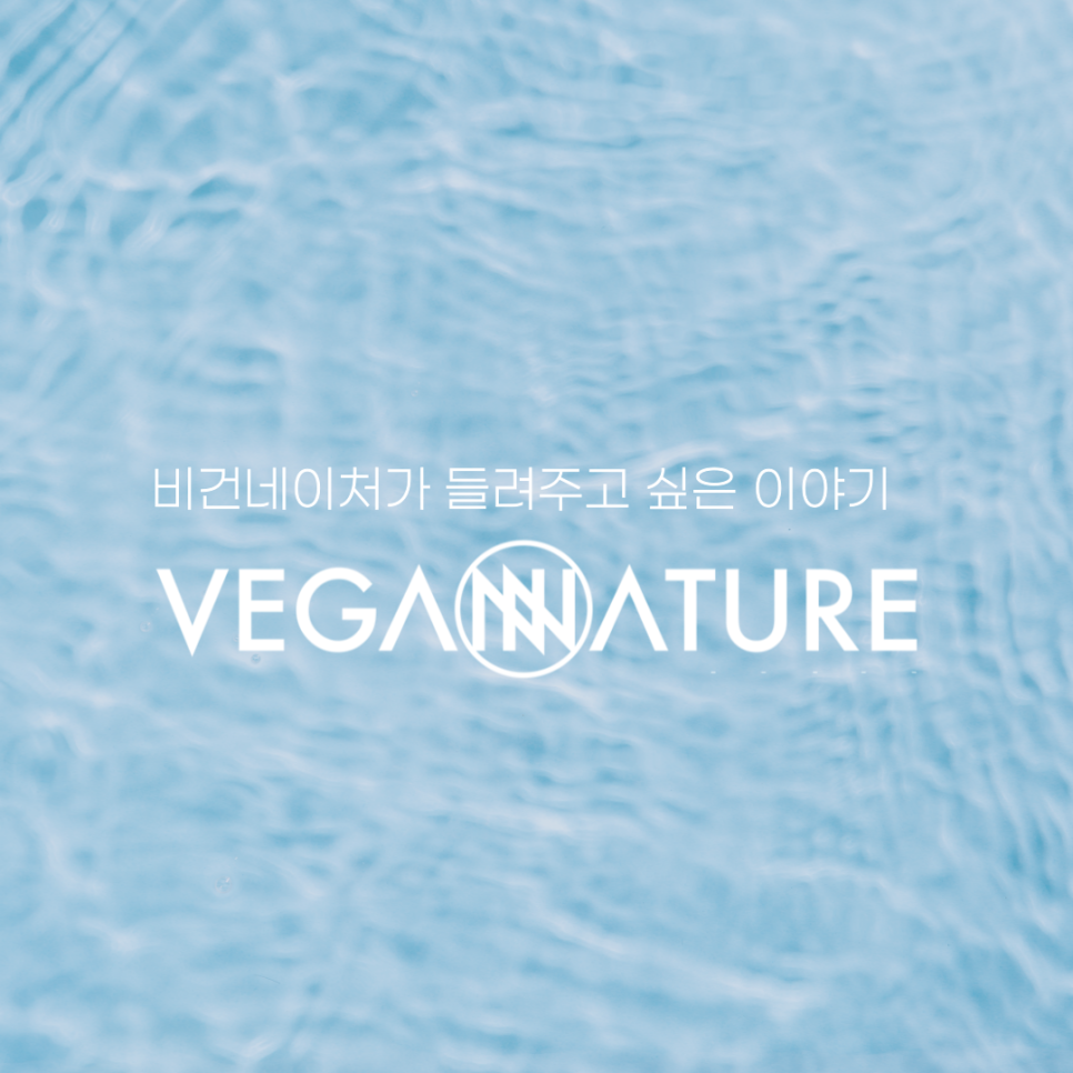 비건네이처 이미지