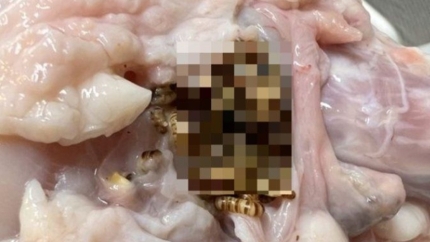 하림생닭통닭 이미지