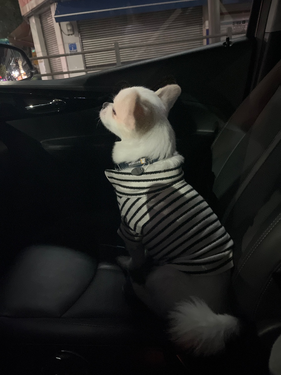 옥돌촌 이미지