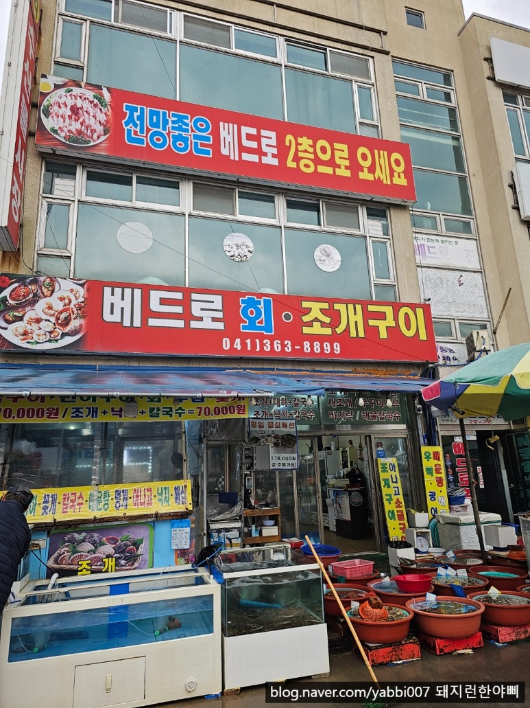 베드로수산물회센타 이미지
