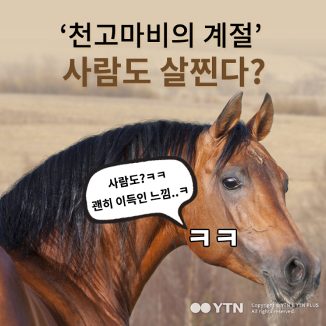 짐 이미지