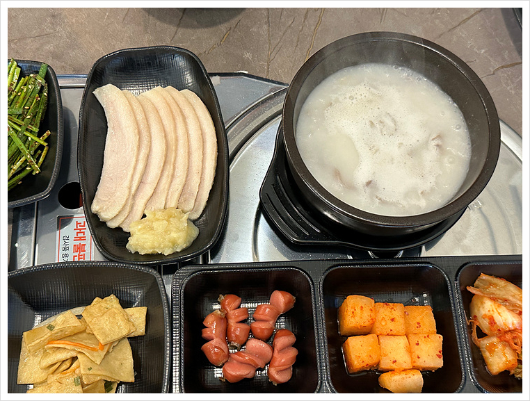 양이야기 이미지