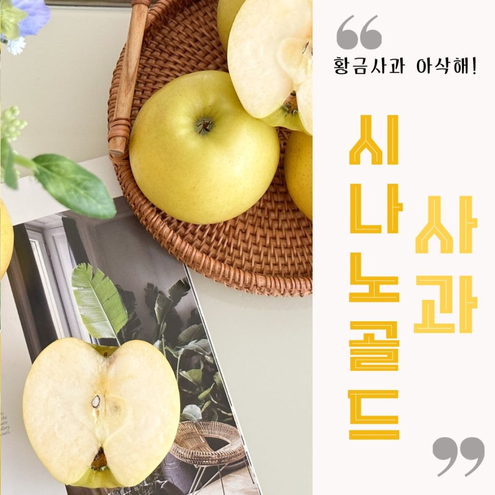 그린청과 이미지
