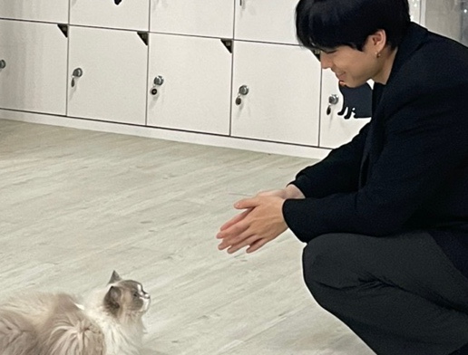 냥고스틴 이미지
