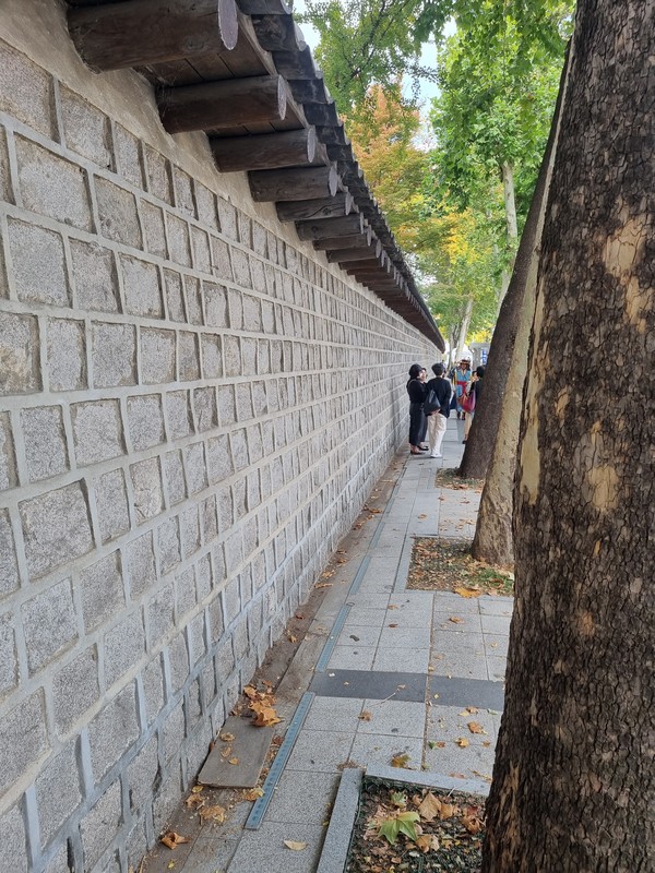 덕수구제 이미지
