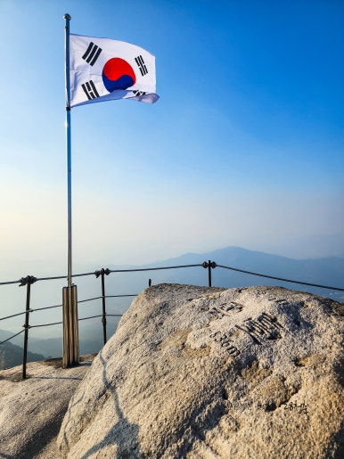 대동사 이미지