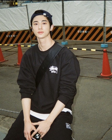 갈라파꼬치 이미지