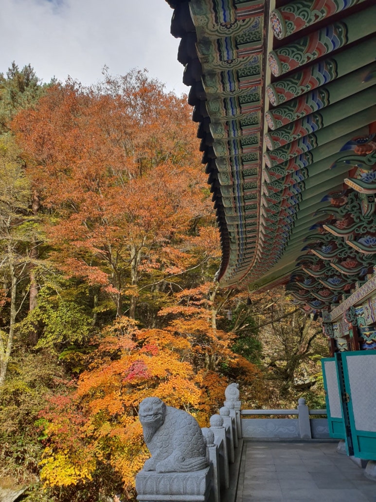 서영횟집 이미지