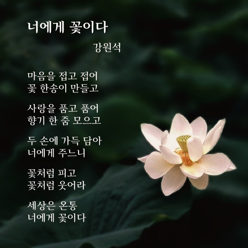 너에게, 꽃이다 이미지