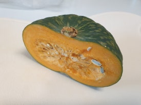 제일동빵 이미지