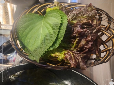 이씨정육점 이미지