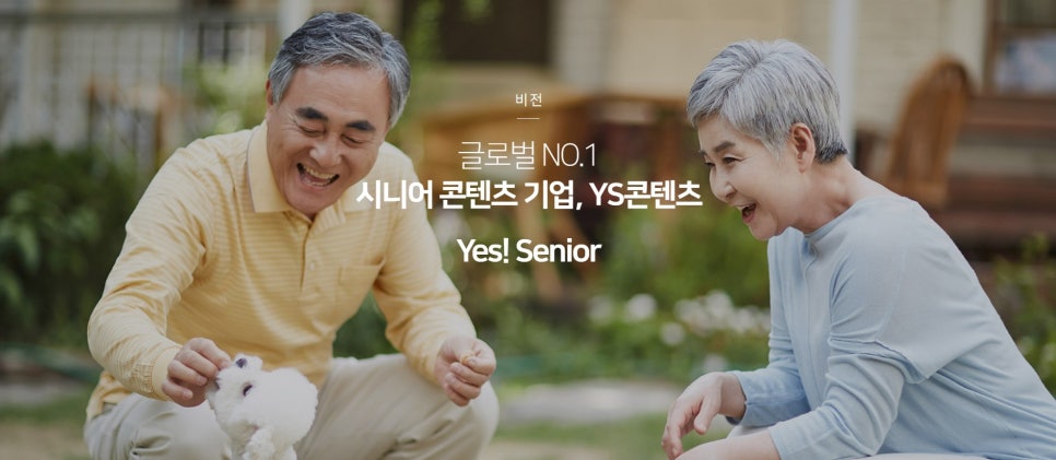 와이에스솔루션 이미지