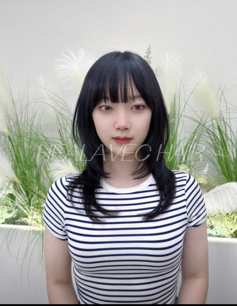 힐아베크헤어 이미지
