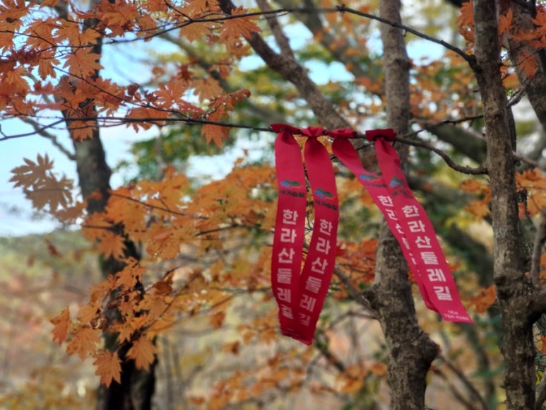 서영횟집 이미지