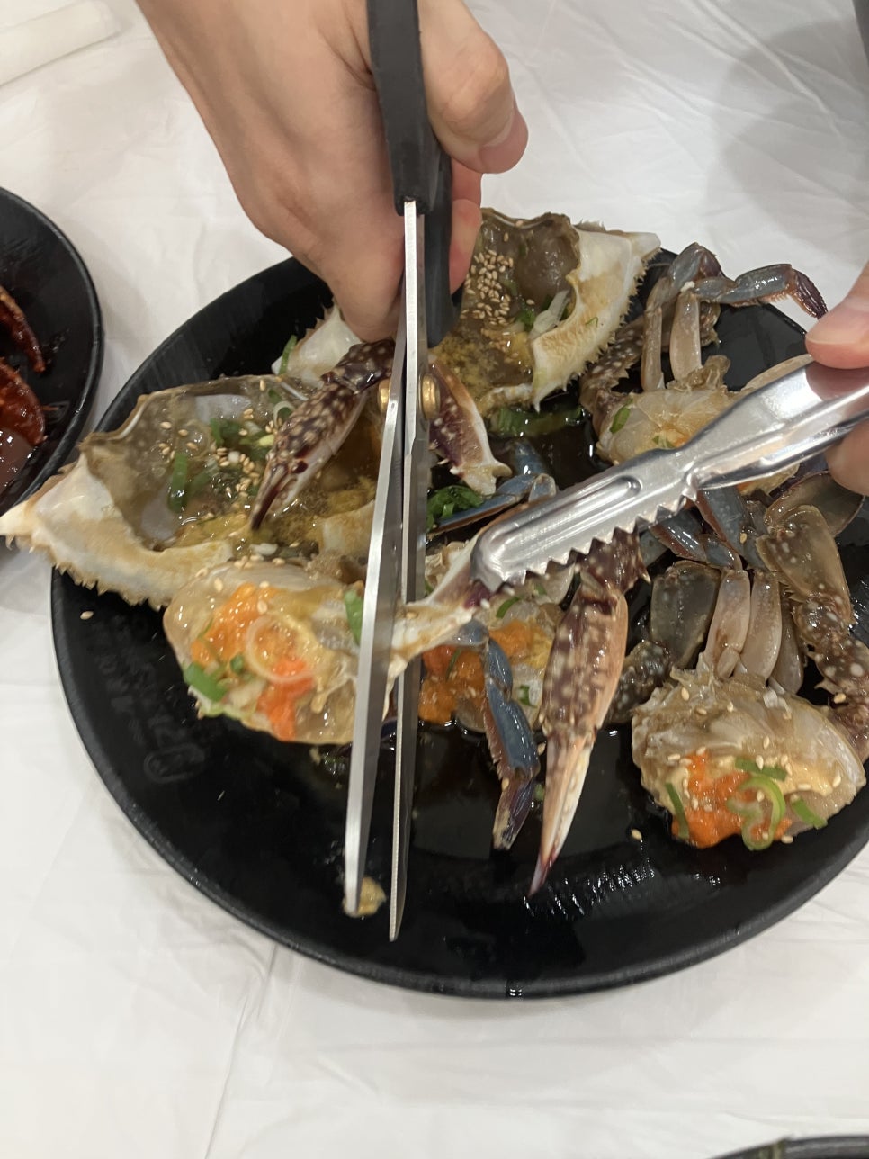 일성공조 이미지