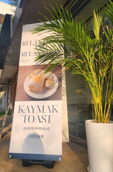스테인동백 이미지