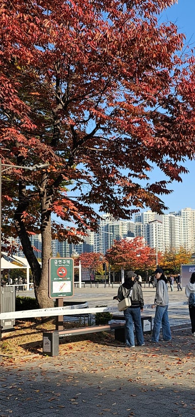 라이즈미 이미지