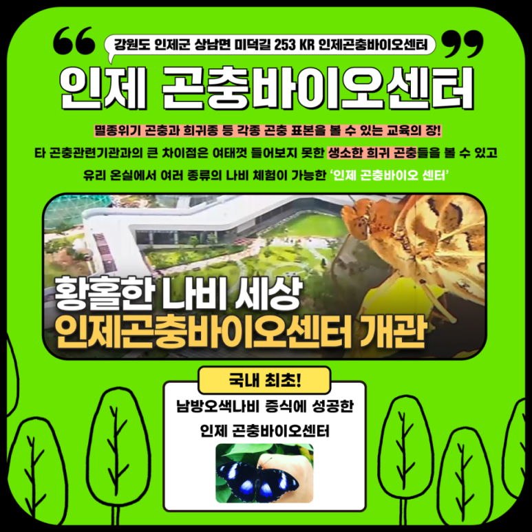 행복한 곤충 이미지