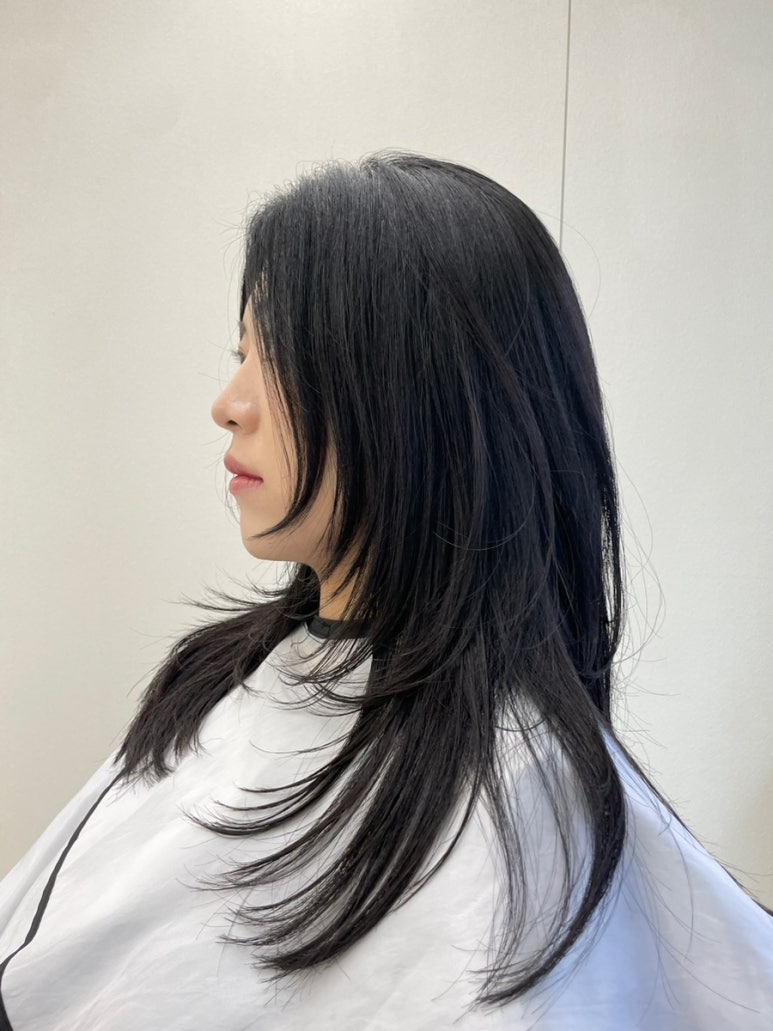 힐아베크헤어 이미지