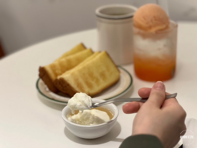 스테인동백 이미지