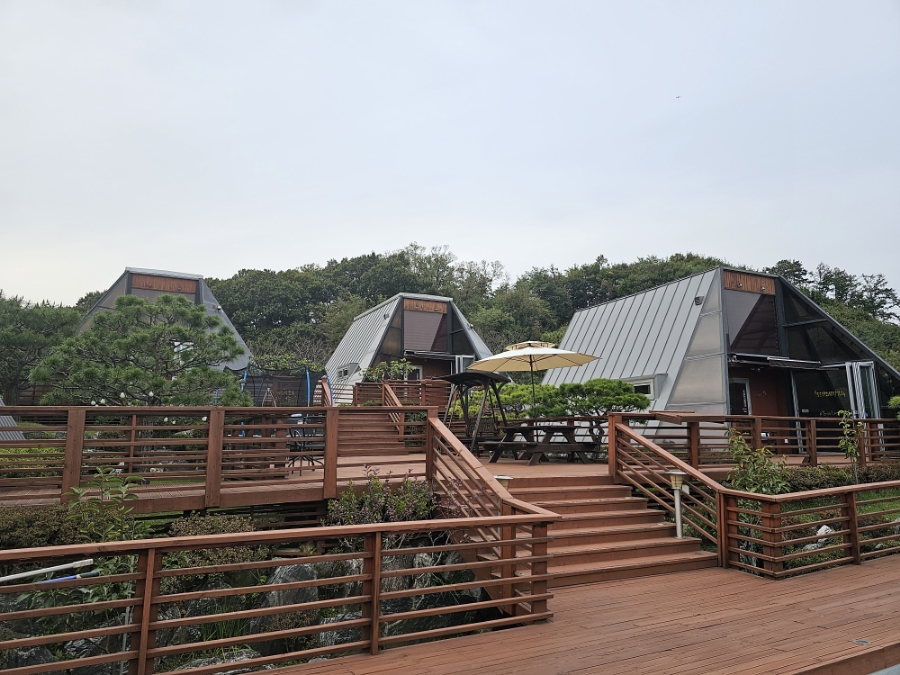 세모난나무 이미지
