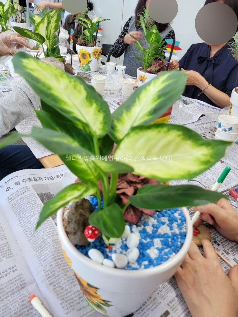 한국웰니스맞춤원예연구소 이미지