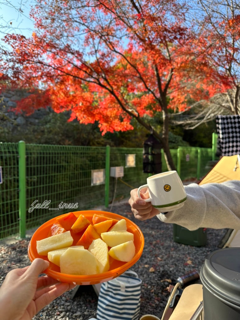 산내별빛오토캠핑장 이미지