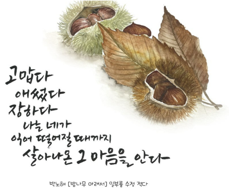 (주)파레아나 이미지
