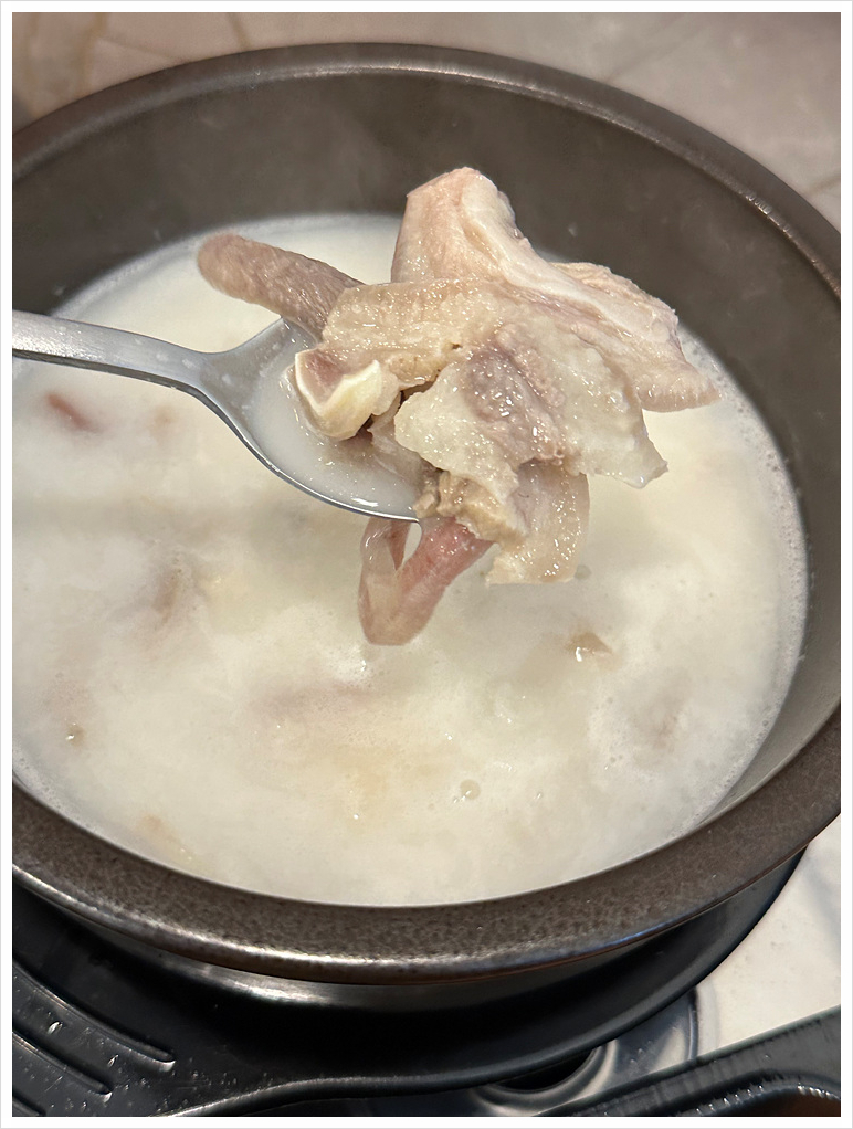 양이야기 이미지
