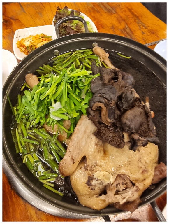 유천오리 이미지