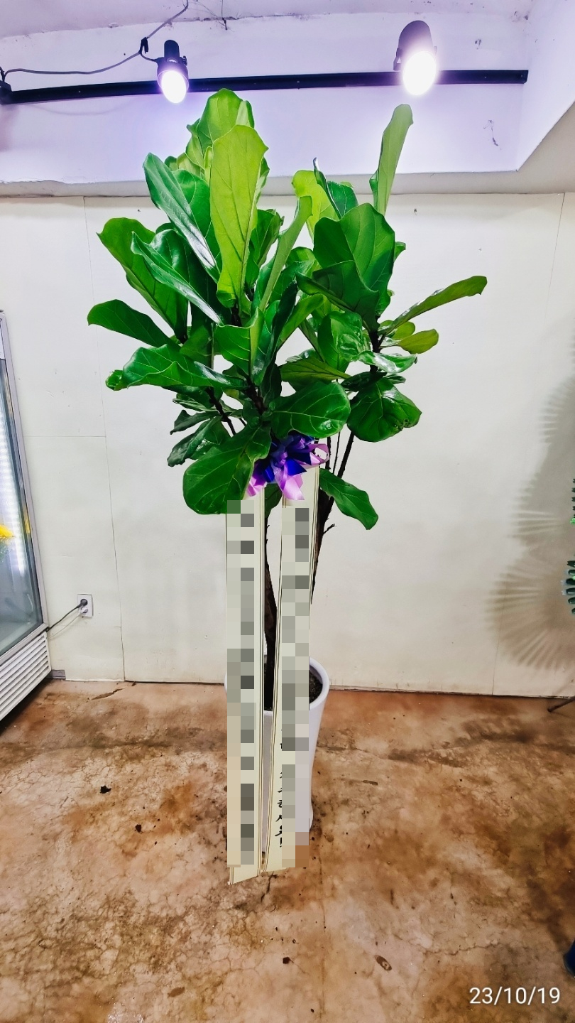 채원의숲 이미지