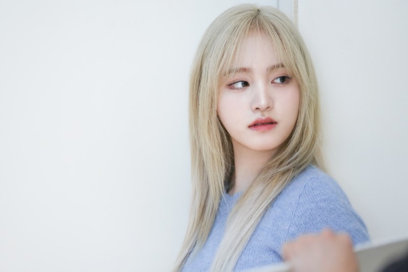 마인리즈 이미지