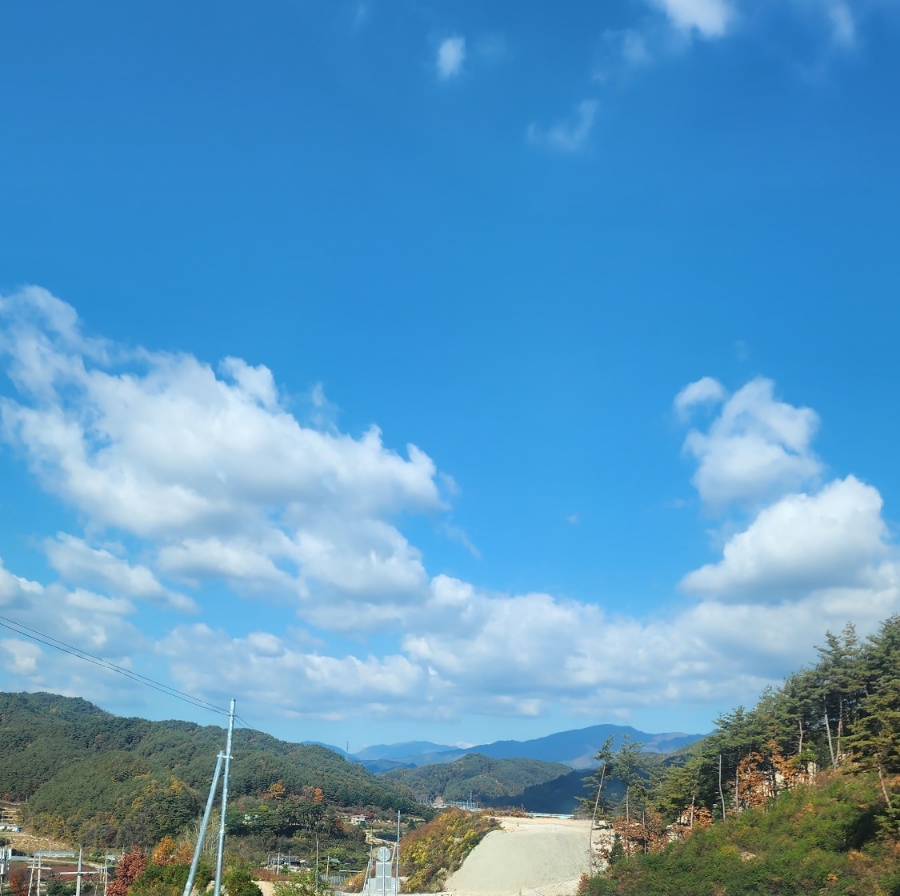 더카페 브레드유 이미지