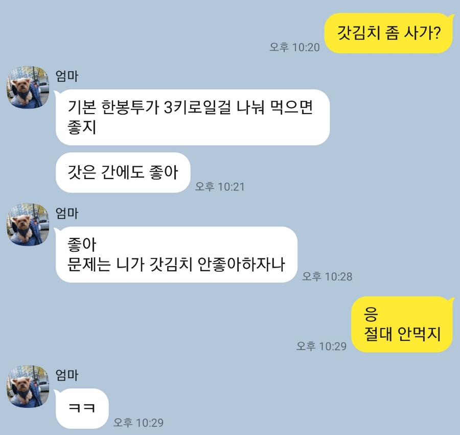 천사돌산갓김치 이미지