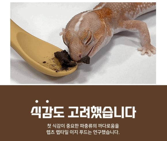 이지푸드 이미지