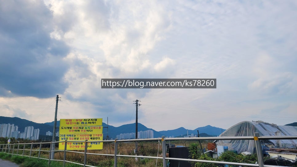 둔산명문종합 이미지
