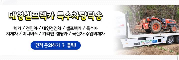도나보나 이미지