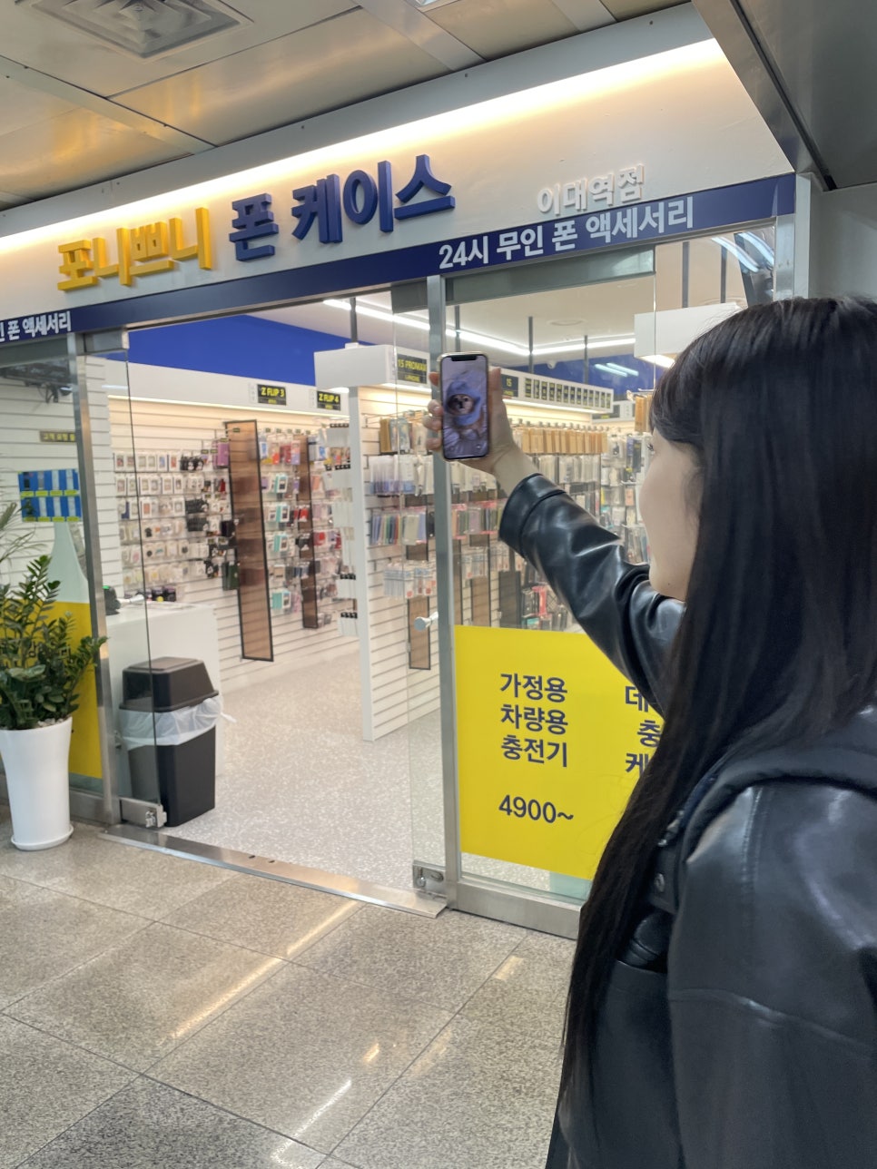 포니쁘니 이미지