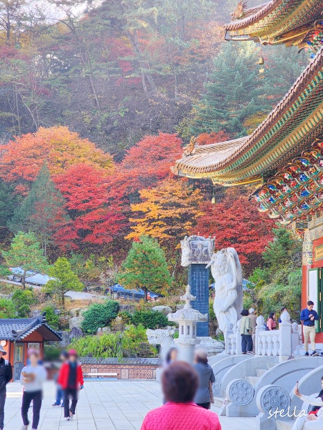 온달청정한우 이미지