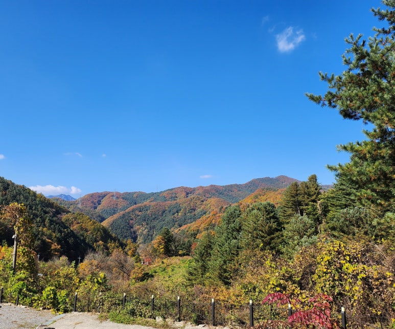 산으로간니모 이미지