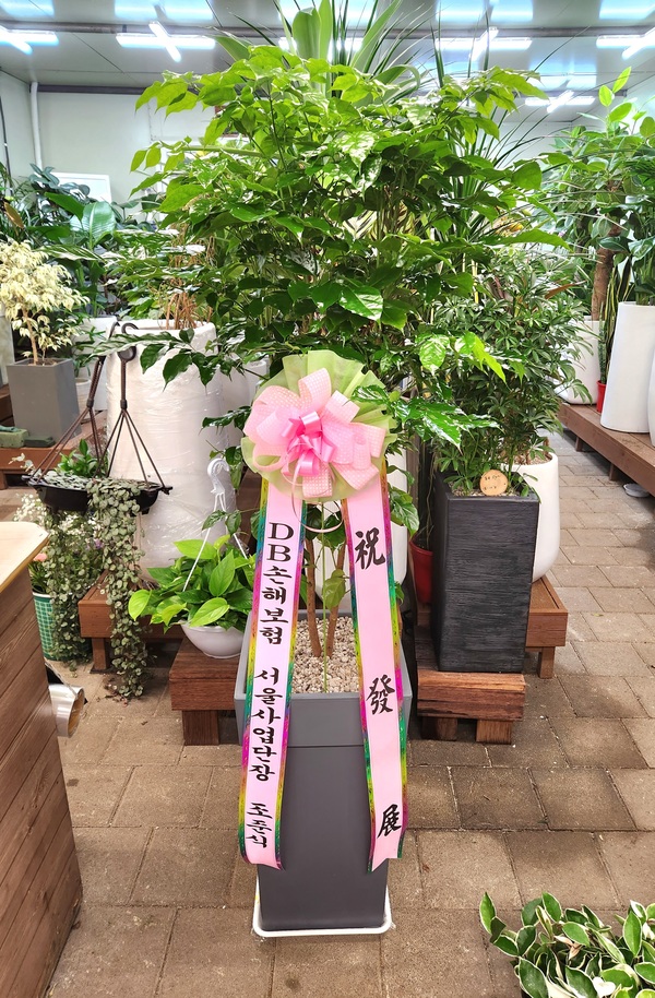 채원의숲 이미지
