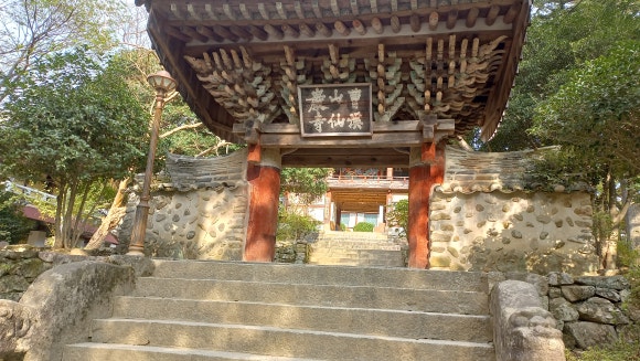 홍매화포차 이미지