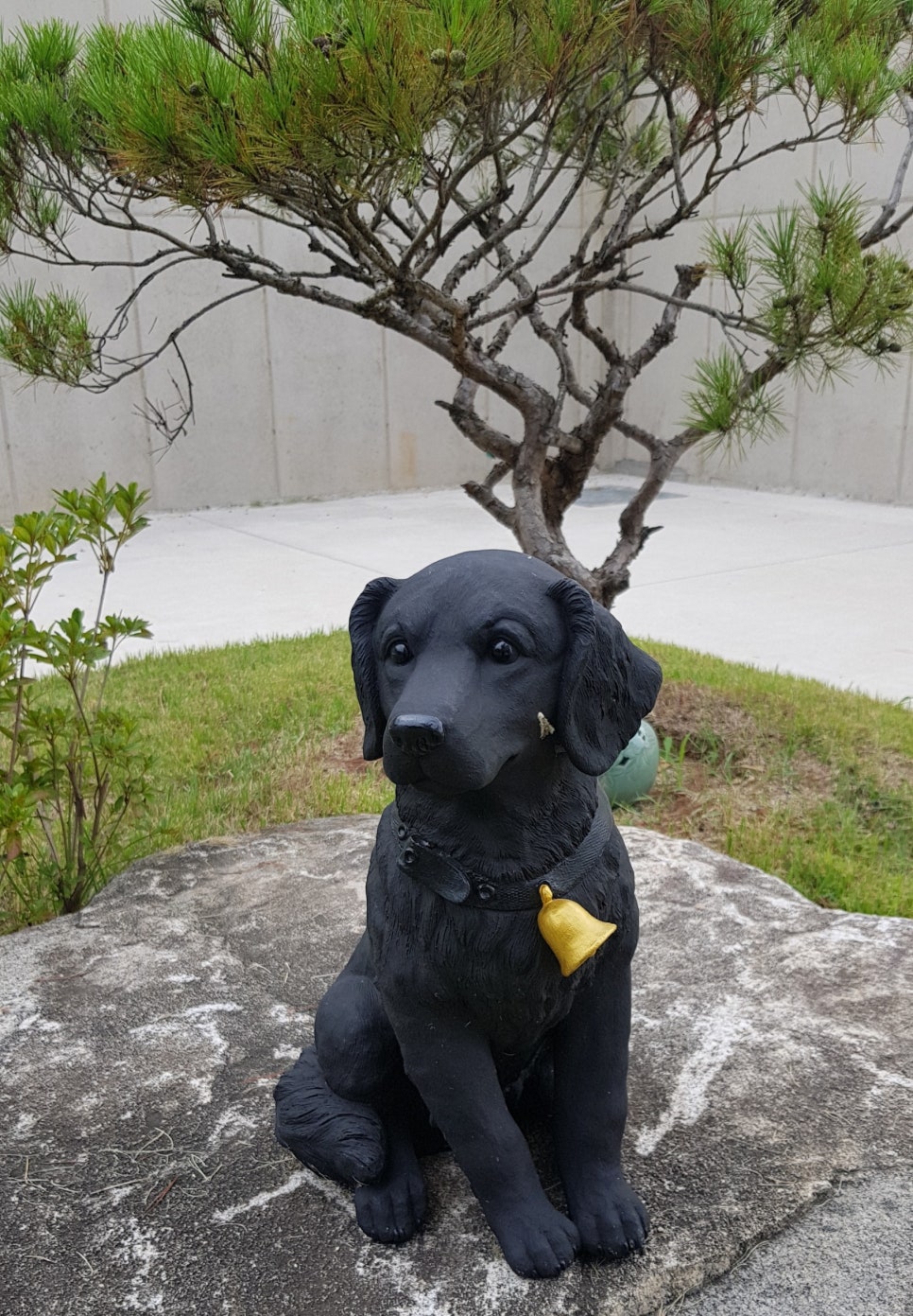 킹콩G.C갤러리 이미지