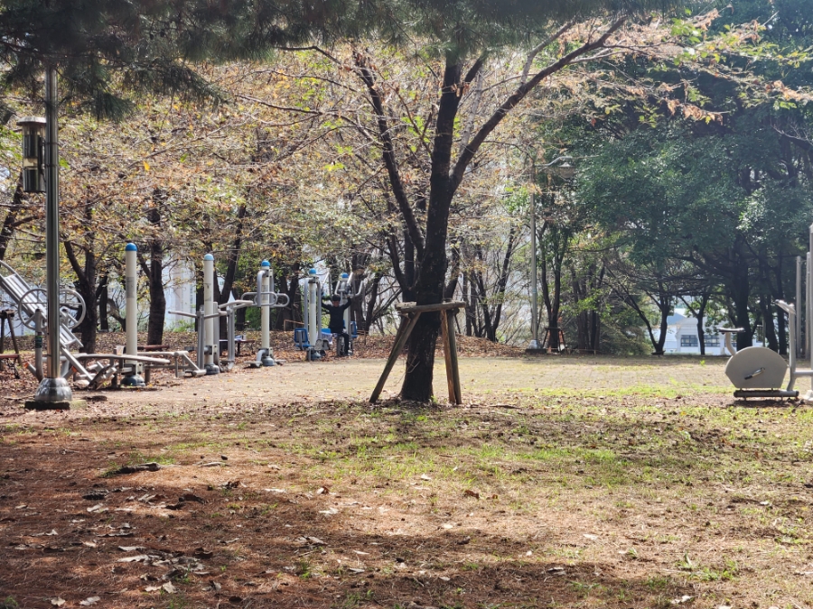 무양공원 유아숲체험원 이미지