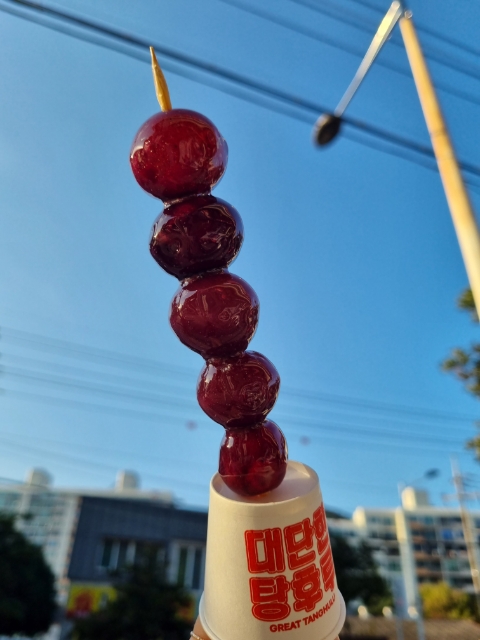 대단한탕후루순천용당점 이미지
