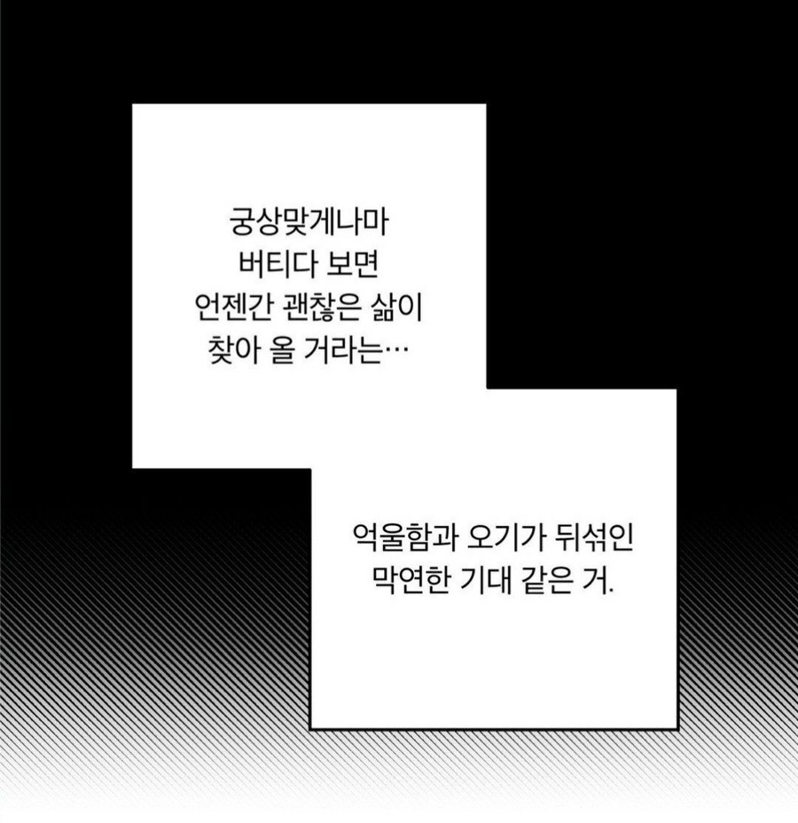 빵빠레투 이미지