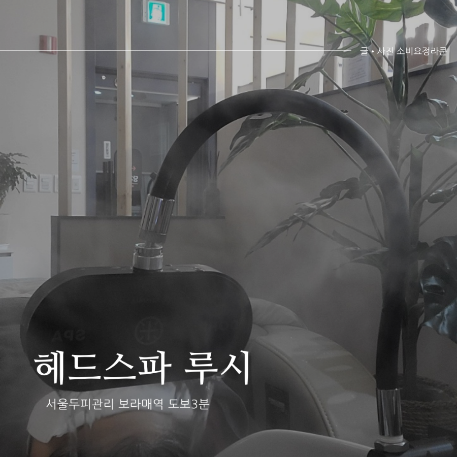 헤드스파루시 이미지
