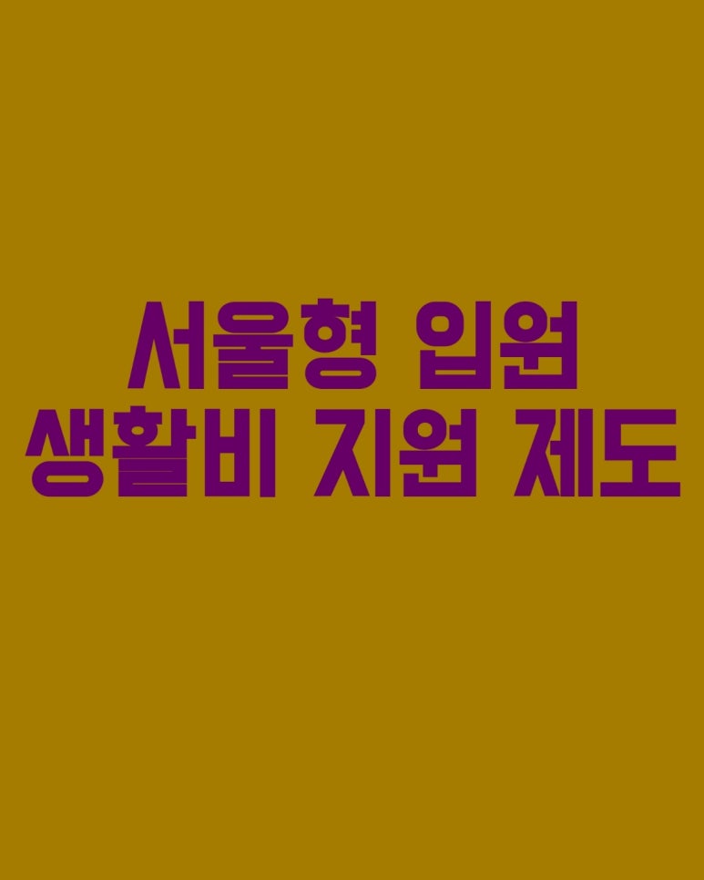 서울형 입원 생활비 지원 제도