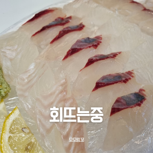 회뜨는중 이미지
