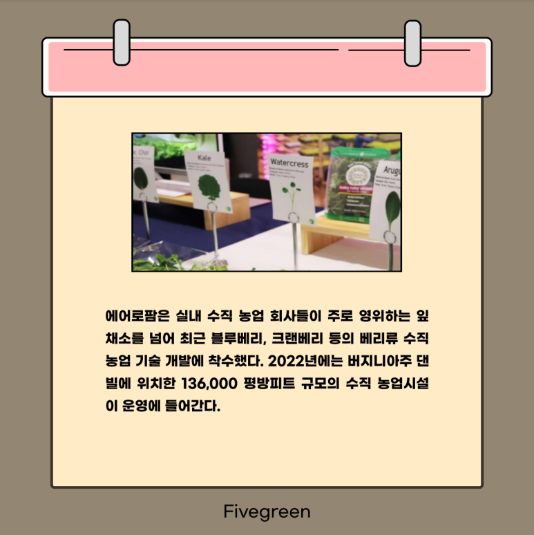 그린파이브 이미지